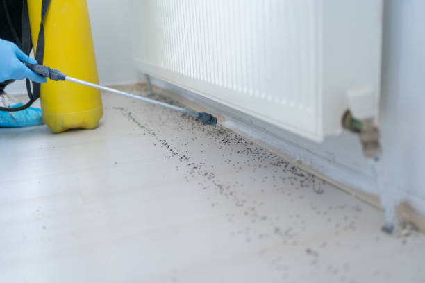 Best Ant Control Services  in Richmond, KY